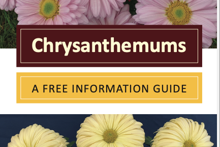 Get started with these FREE GUIDES Image